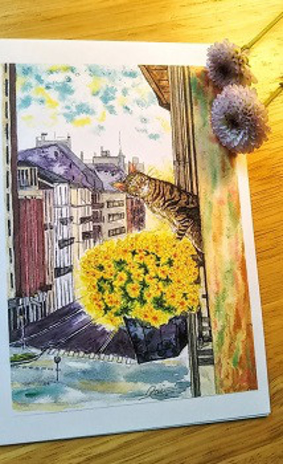 フィオリーナの花とのぞき見する隣のキジトラ猫さん 3枚目の画像