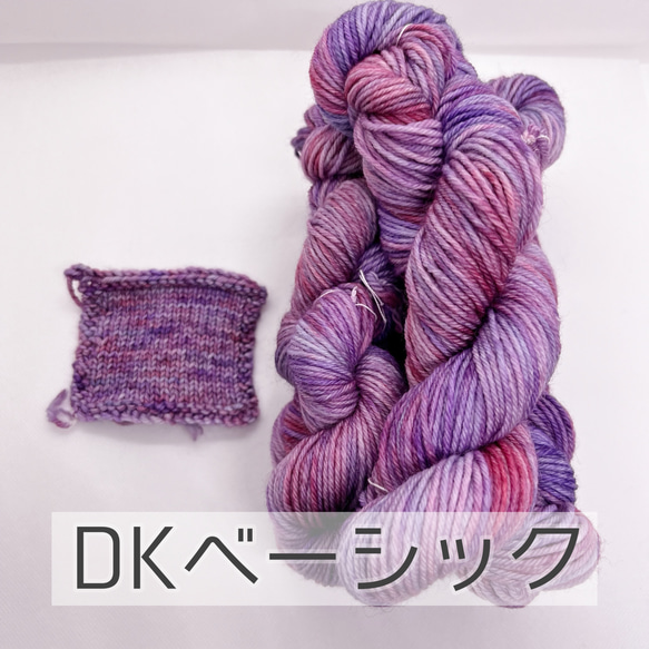 手染め糸ソックヤーン46g DK《ベーシック》「オータムベリー」 1枚目の画像