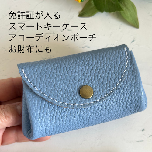 ☆受注生産‪☆ パールブルーの免許証が入るスマートキーケース‬  