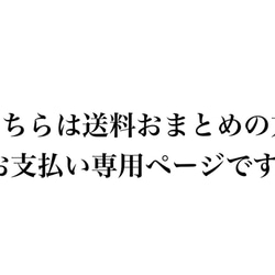 A様　専用 1枚目の画像