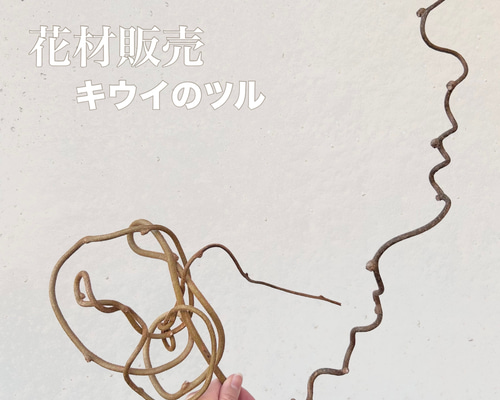 ハンドメイド素材】キウイの蔓 その他素材 Caprice -dry flower- 通販