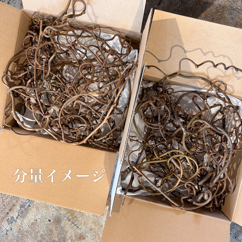 ハンドメイド素材】キウイの蔓 その他素材 Caprice -dry flower- 通販