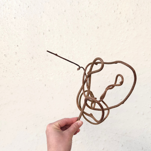 ハンドメイド素材】キウイの蔓 その他素材 Caprice -dry flower- 通販