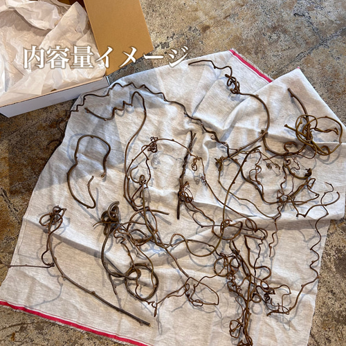 ハンドメイド素材】キウイの蔓 その他素材 Caprice -dry flower- 通販