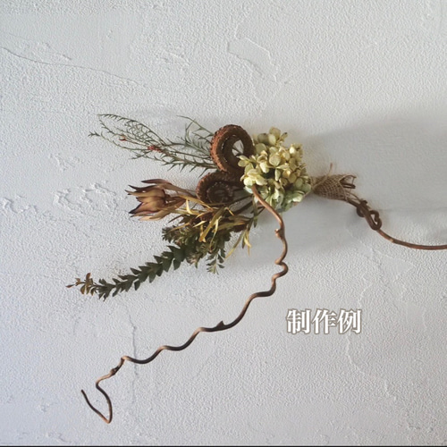 ハンドメイド素材】キウイの蔓 その他素材 Caprice -dry flower- 通販