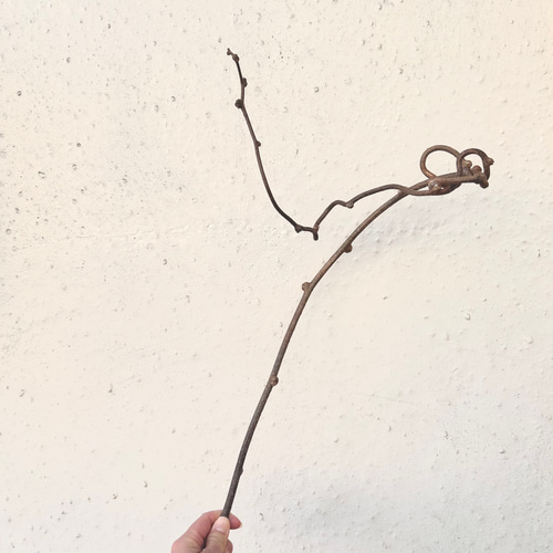 ハンドメイド素材】キウイの蔓 その他素材 Caprice -dry flower- 通販