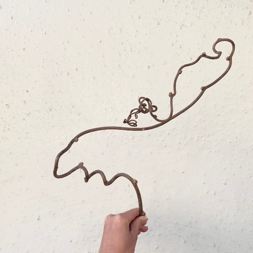 ハンドメイド素材】キウイの蔓 その他素材 Caprice -dry flower- 通販