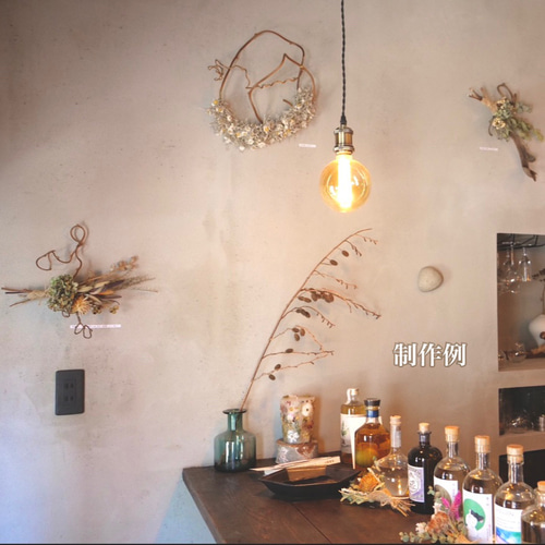 キウイ蔓オーダー専用 キウイ蔓オーダー専用 キウイ蔓オーダー専用 オーチャード キウイ