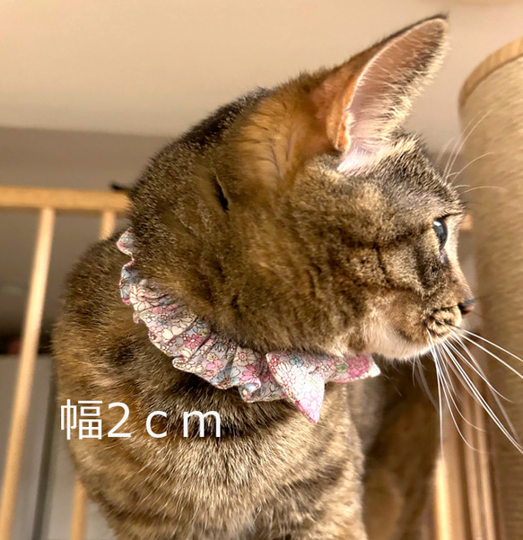 赤紫に白のお花柄♪　リボン付きシュシュ　猫の首輪　 6枚目の画像