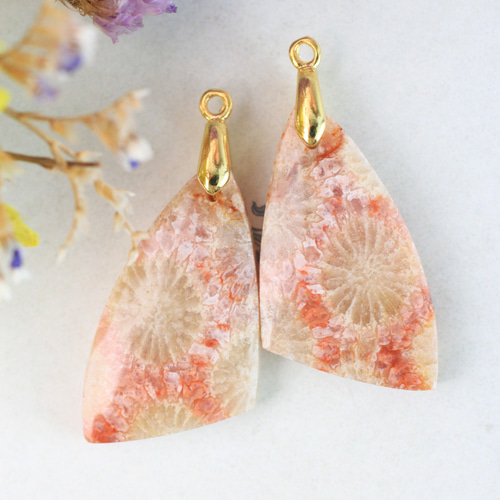 超超超希少】フォッシルコーラル 2-3.5億年前の有機宝石 耳飾り