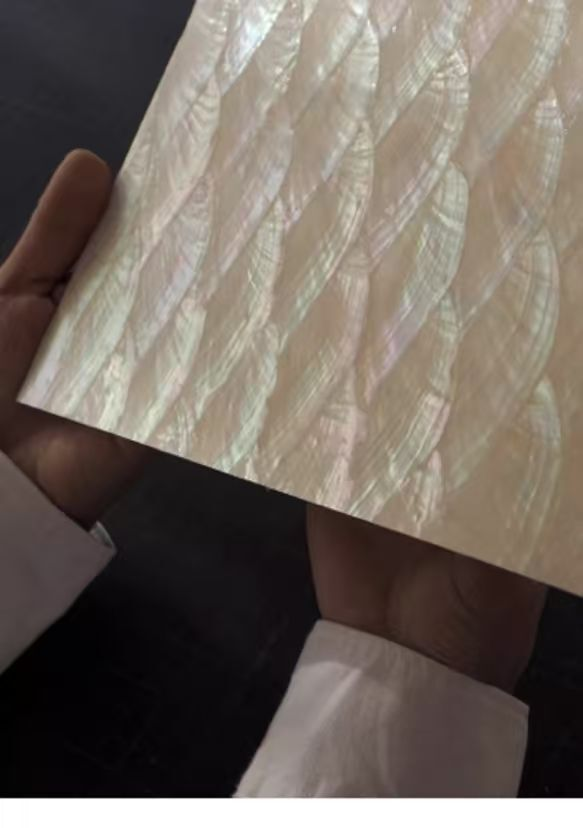 iPhone 17 16 15 14  ケース 螺鈿風 天然貝シェル 夢の夏 全機種対応 ソフト 耐衝撃カバー ケース