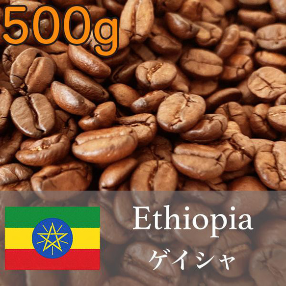 エチオピア産ゲイシャ 華やかな香りと複雑な味わいの至極の一杯 1枚目の画像