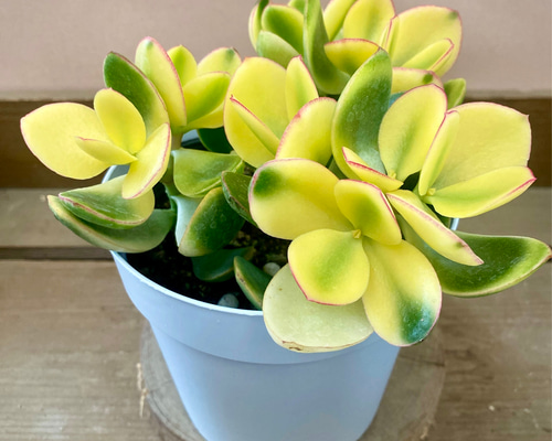 92ea7bc4d7775138058c293b80c035