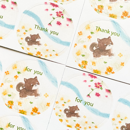 透明水彩画「豆柴の春のシール」イラスト 丸シール48枚 桜 さくら