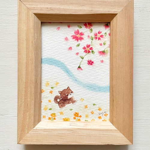 透明水彩画 ミニ額「豆柴の春のお散歩」イラスト プチギフト 桜