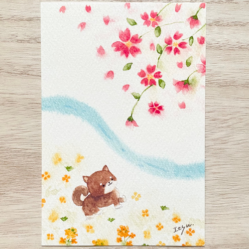 水彩画　透明水彩　スズメと桜　雀　絵画　春の絵　春の鳥　マーメイド紙　アート 透明水彩スケッチ「春の想い出」鶴見緑地の穴場🌸桜🌸スポットに