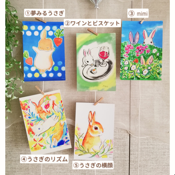 選べる、うさぎのポストカード3枚セット【⑩青空の下で】　兎乃真央 3枚目の画像