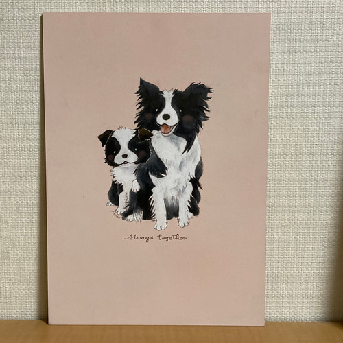 チョークアート原画】ボーダーコリー親子「Always together