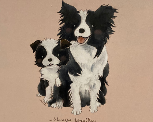 ボーダーコリー。犬の肖像画。水彩の手描きイラスト。の写真素材