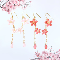 【さくら、咲く】淡いピンクの桜と花びらが揺れるピアス/p1568 9枚目の画像