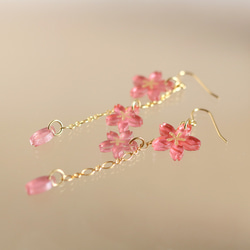 【さくら、咲く】コーラルカラーの桜と花びらが揺れるピアス/p1569 3枚目の画像