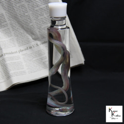 《透明標本龍蛇》骷髏骨架透明透明瓶甘油解剖昆蟲項鍊磁鐵 第3張的照片