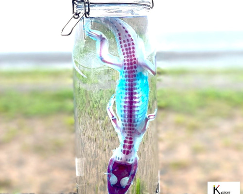 bcfd46e782ac3718d2cef4cdd2b3c3