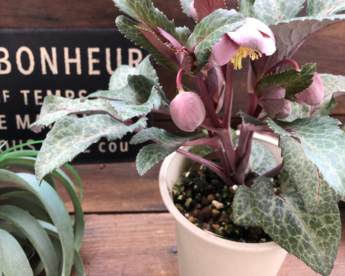 02b8ba1bb66c1ae0a34f7a891708a0