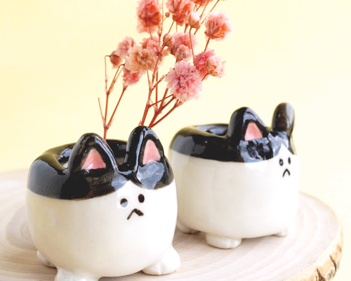 ff6d485b126ab32b5d97c4dd323f62