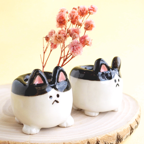 ブラスタ ネコメ ㉒ ブラスタ #ネコメ