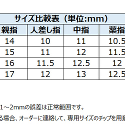 ★桜　新店オーブン価格　入学式/ネルチップ販売 /花見/ネイルデザイン/成人式ネイル/デートネイル/バレンタイン 5枚目の画像