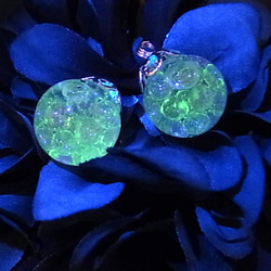 ピアス 黒 ハーバリウム ガラスドーム 水色 ビジュー 推し活