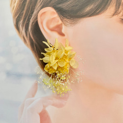 ピアス・イヤリング】ガクアジサイ（額紫陽花） パープル系