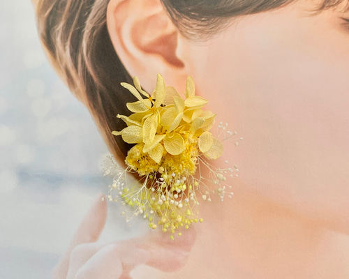 a2af9bd5c5665de6beeda24f780b12