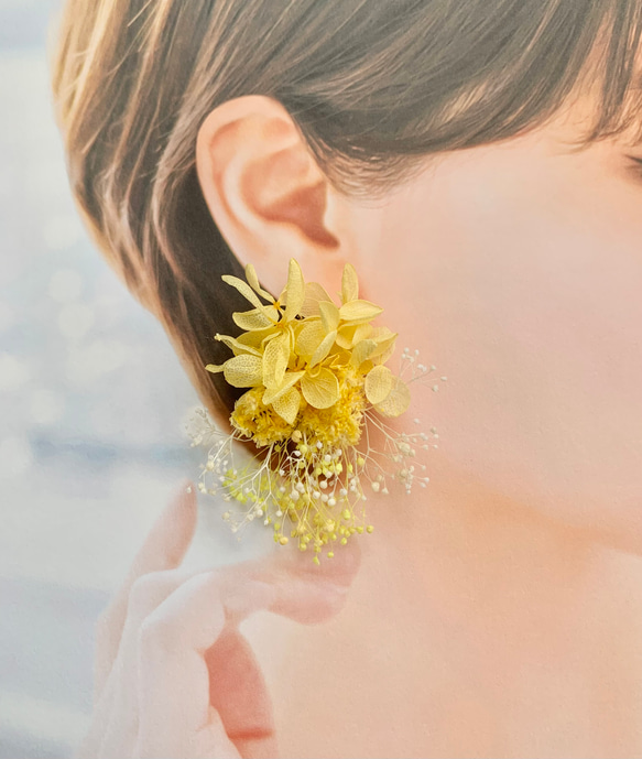natural yellow(ミニ)】ドライフラワー ピアス・イヤリング ブライダル
