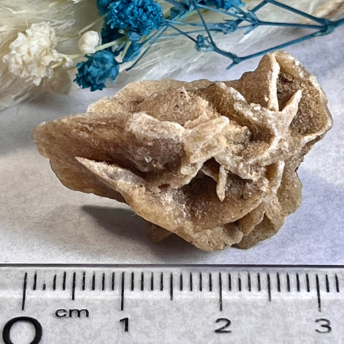 知性の石】砂漠の薔薇 デザートローズ バライト 重晶石 原石 天然石