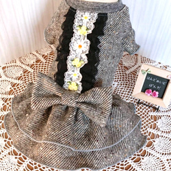 425b72f6590466ea8f4bbfb5491487