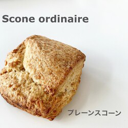 ＜2/24〜25発送分＞プレーンスコーン※冷凍商品 1枚目の画像