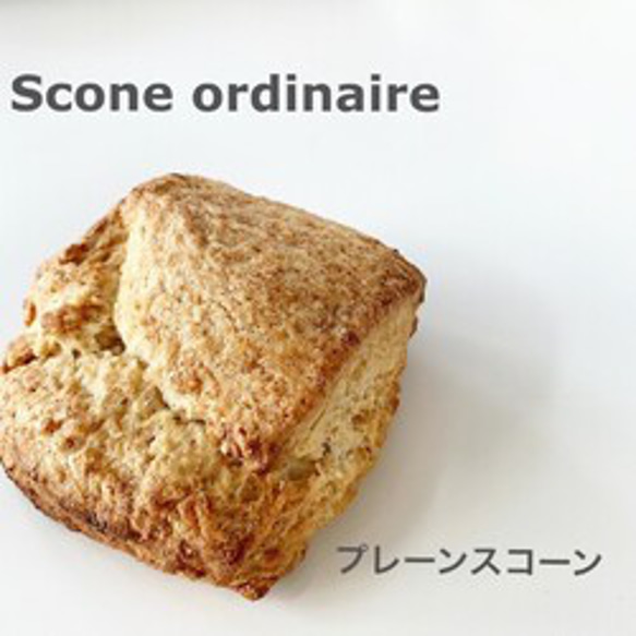 ＜2/24〜25発送分＞プレーンスコーン※冷凍商品 1枚目の画像