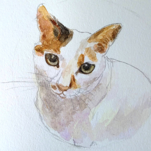 うちの子 愛猫 ペット 水彩画 オーダーメイド 似顔絵 ポスト