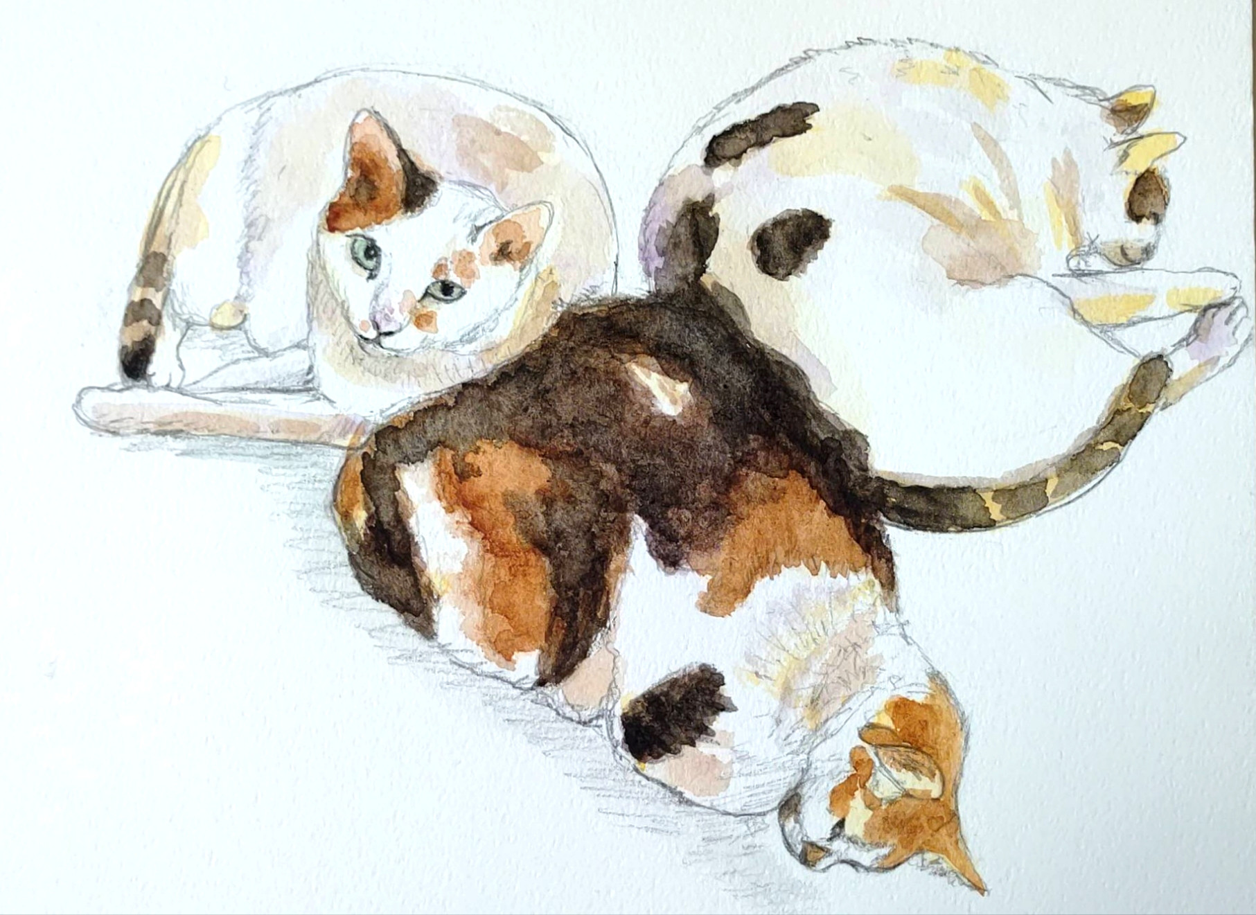 アンティーク 猫の絵 水彩画 ヨーロピアン 猫 プレゼント ミニアート 絵画