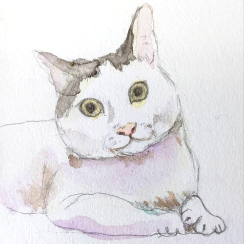 うちの子 愛猫 ペット 水彩画 オーダーメイド 似顔絵 ポスト
