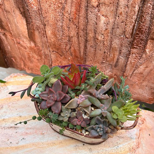★多肉植物　寄せ植え〜手作り木製カート寄せ〜★ 木の器で彩る多肉植物の寄せ植え