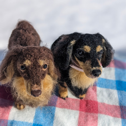 【あたち】【13cm/鼻先からお尻】羊毛フェルト犬　ダックス　ブラタン　 3枚目の画像