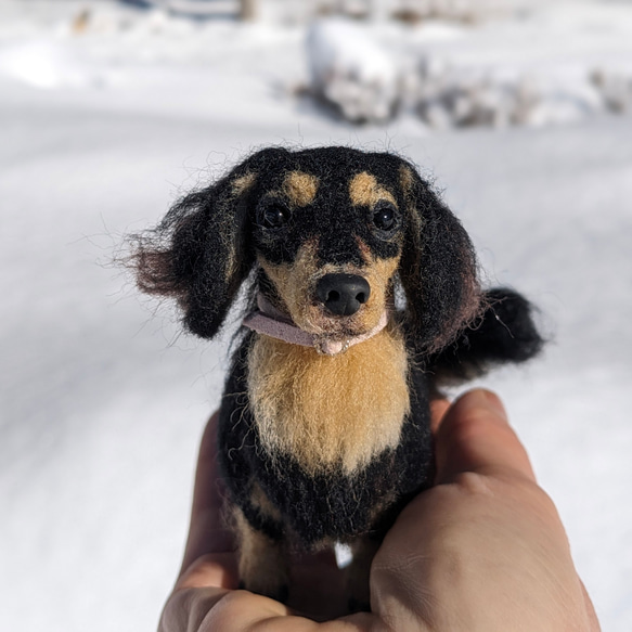 【あたち】【13cm/鼻先からお尻】羊毛フェルト犬　ダックス　ブラタン　 2枚目の画像