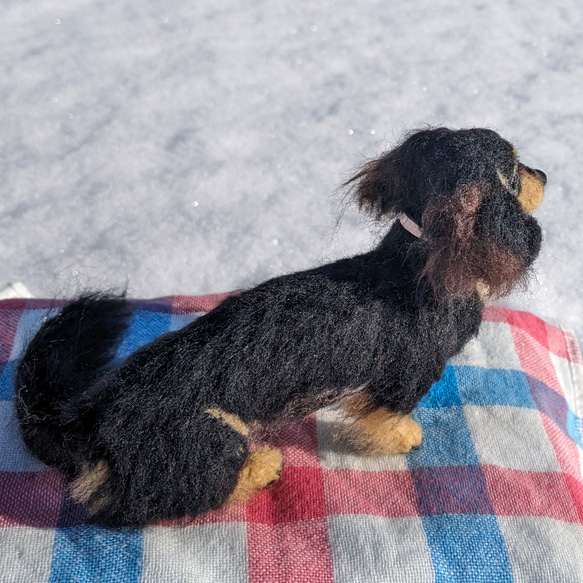 【あたち】【13cm/鼻先からお尻】羊毛フェルト犬　ダックス　ブラタン　 5枚目の画像