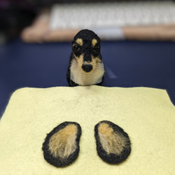 【あたち】【13cm/鼻先からお尻】羊毛フェルト犬　ダックス　ブラタン　 9枚目の画像