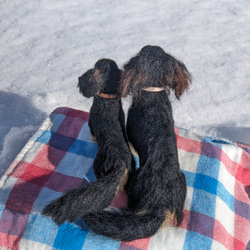 【あたち】【13cm/鼻先からお尻】羊毛フェルト犬　ダックス　ブラタン　 6枚目の画像