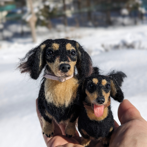 【あたち】【13cm/鼻先からお尻】羊毛フェルト犬　ダックス　ブラタン　 11枚目の画像