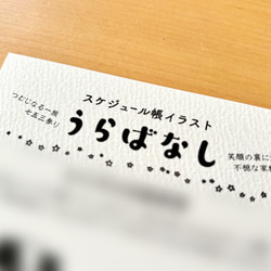 数量カスタマイズできる！気分はモルパラセット / ¥2,420〜 11枚目の画像